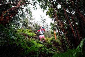 BIB: 
                            <button type="button" onclick="openModal(26201706)" class="btn btn-primary btn-sm float-right btn-popup" data-toggle="modal" data-target=".modal-high-quality">
                        <i class="fas fa-shopping-cart"></i> Add to Cart
                    </button>
                                            <button type="button" onclick="isThisMe(26201706, true)" class="btn btn-success btn-sm float-right btn-popup btn-isme hidden" data-toggle="tooltip" data-placement="bottom" title="นี่คือรูปของคุณใช่ไหม คลิกที่นี่เพื่อเอาเข้าอัลบั้ม">
                        <i class="fas fa-plus"></i> Add to album
                    </button>
                    <button type="button" onclick="isThisMe(26201706, false)" class="btn btn-warning btn-sm float-right btn-popup btn-isnotme hidden">
                        <i class="fas fa-ban"></i> Remove from album
                    </button>